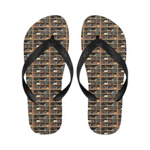 Cats Plus Books Flip Flops