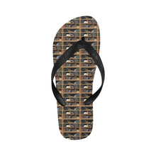 Cats Plus Books Flip Flops