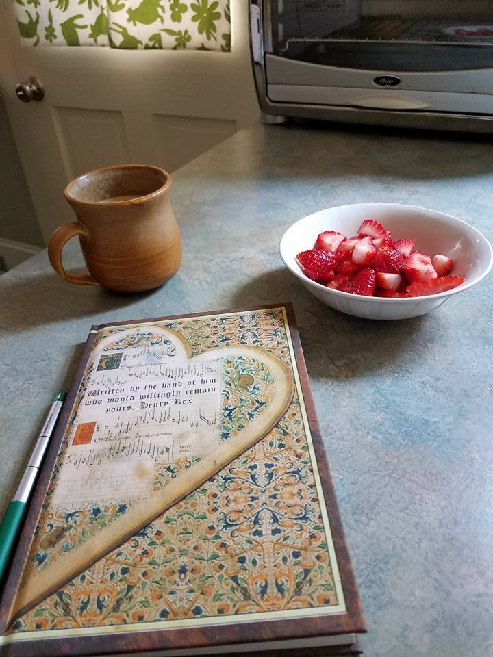 The Henry VIII and Anne Boleyn  Love Journal